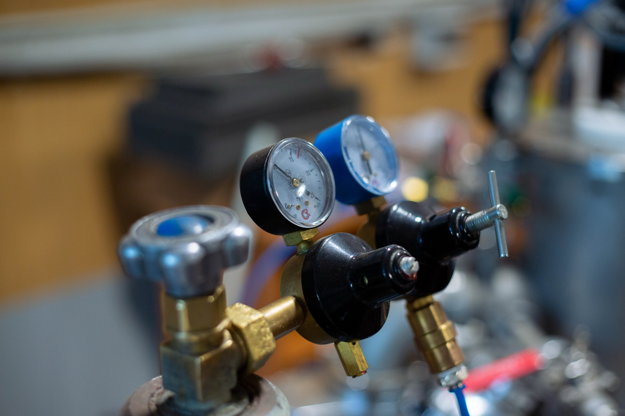 фотография: А. Непомнящих