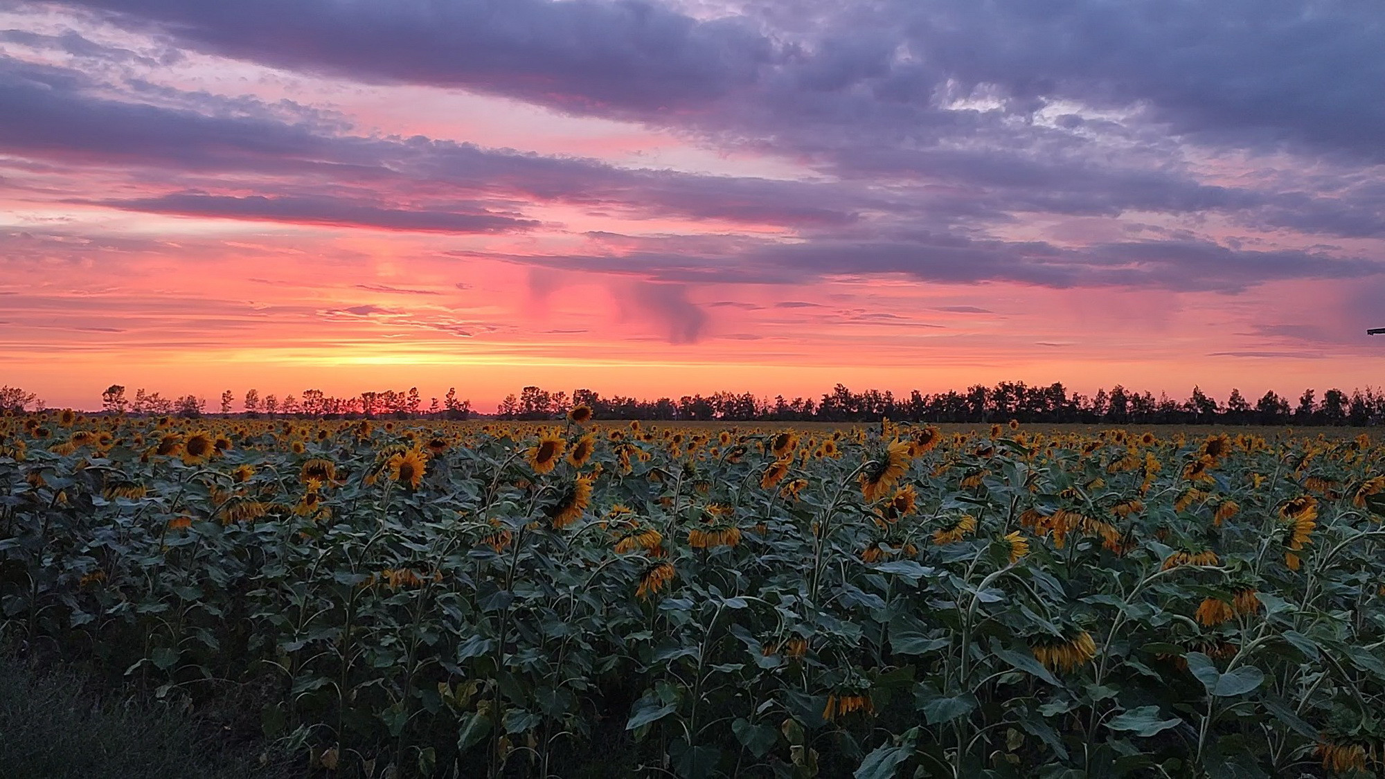 фотография: С. Комаров
