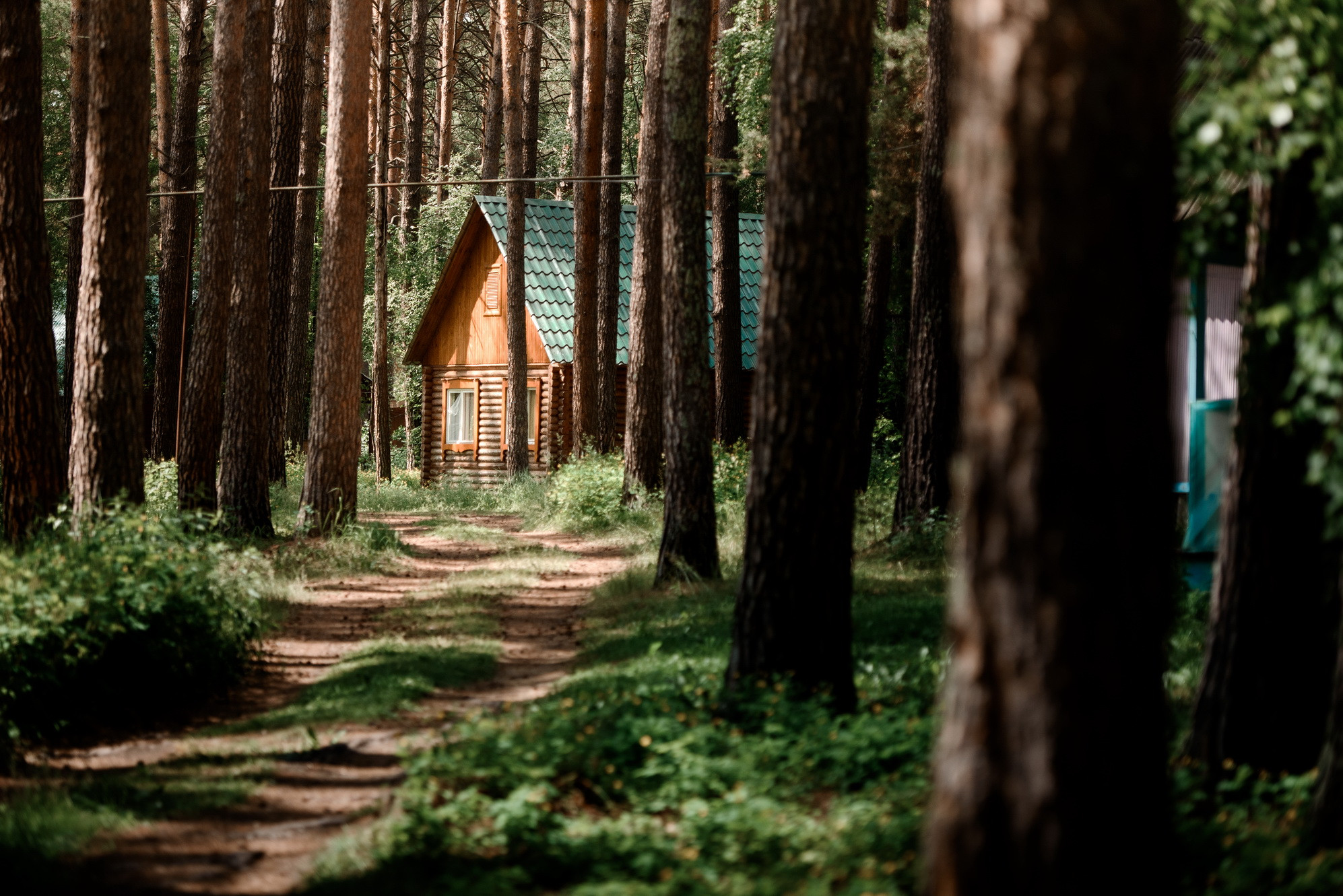 фотография: Д. Фоменков 
