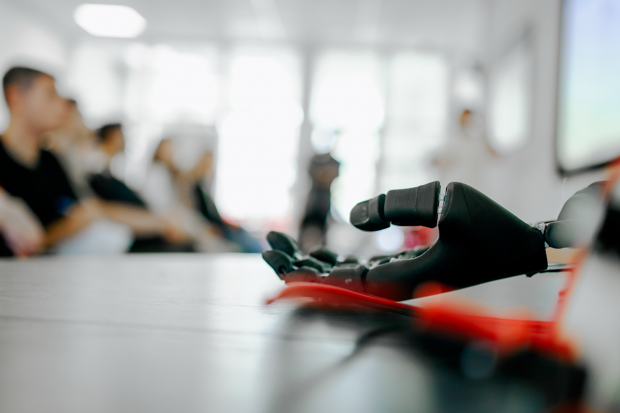 фотография: Д. Фоменков 