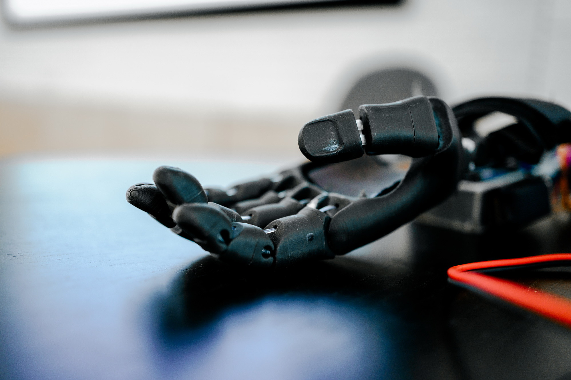 фотография: Д. Фоменков 