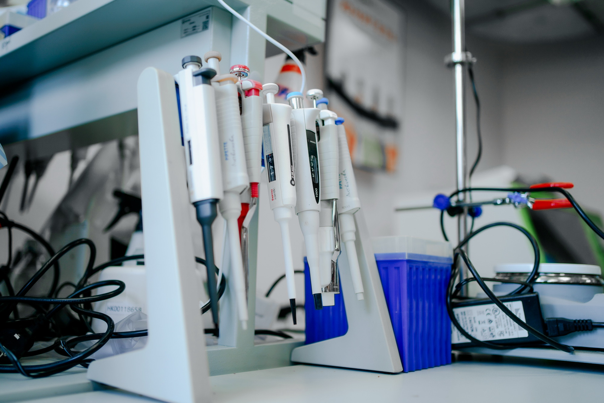 фотография: Д. Фоменков 