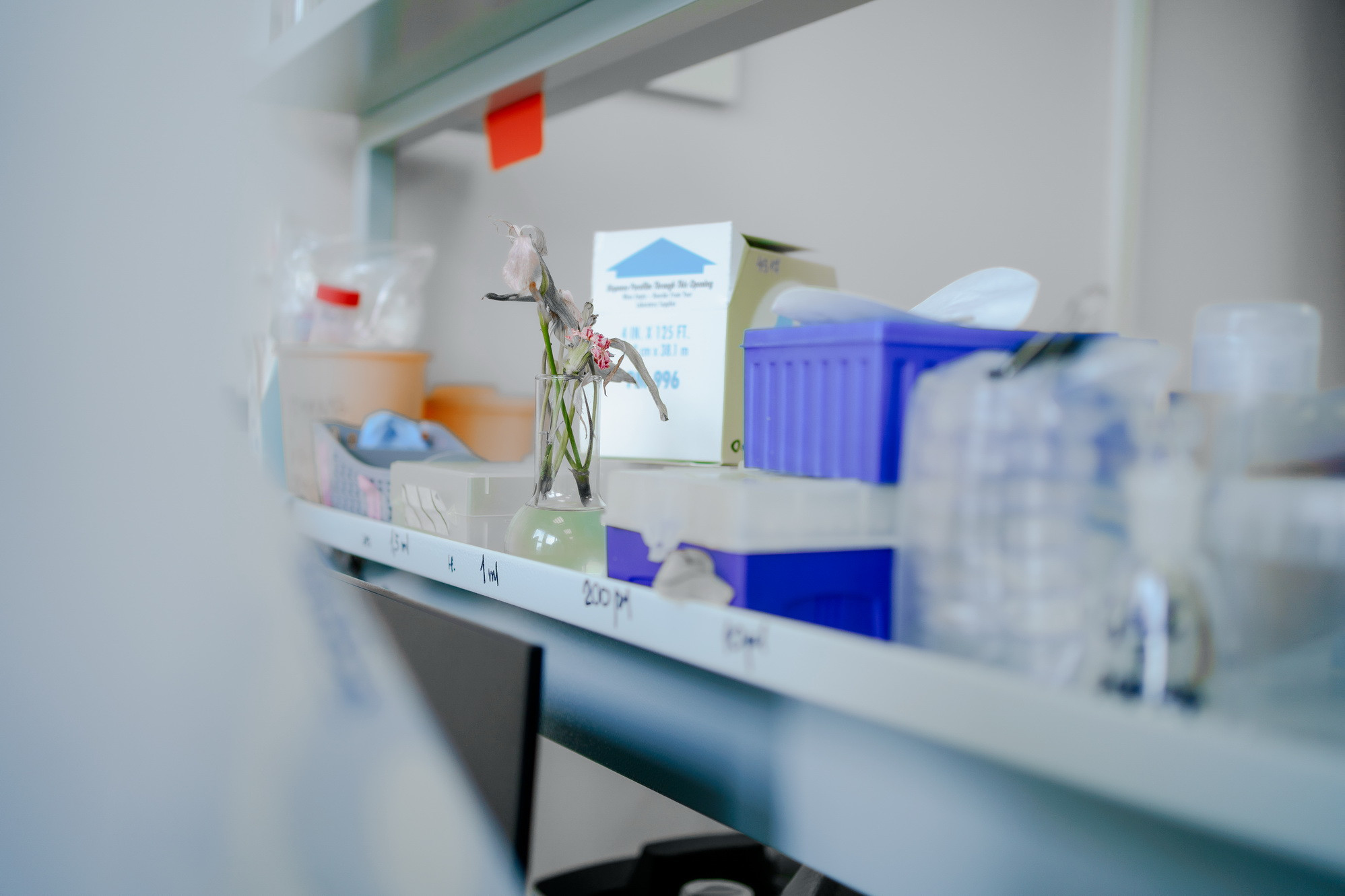 фотография: Д. Фоменков 