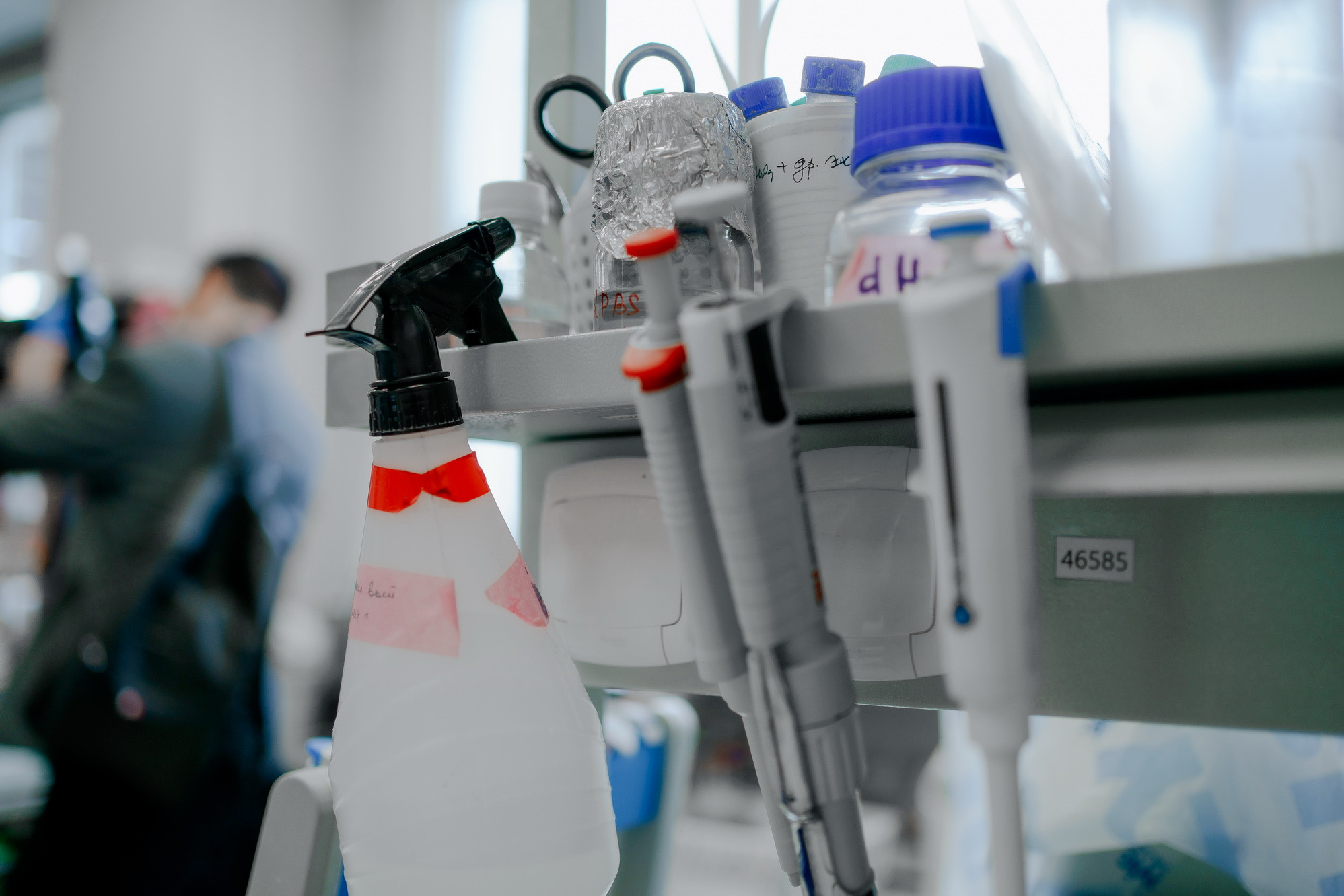 фотография: Д. Фоменков 