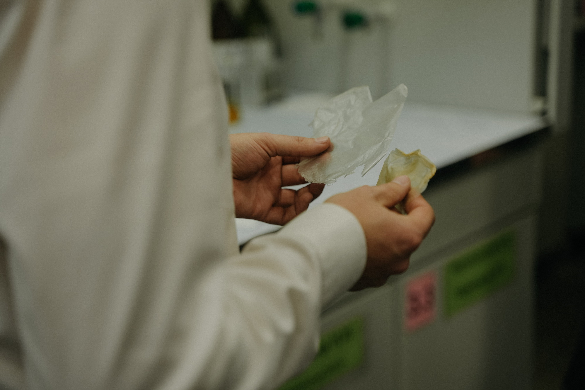 фотография: А. Яковлева