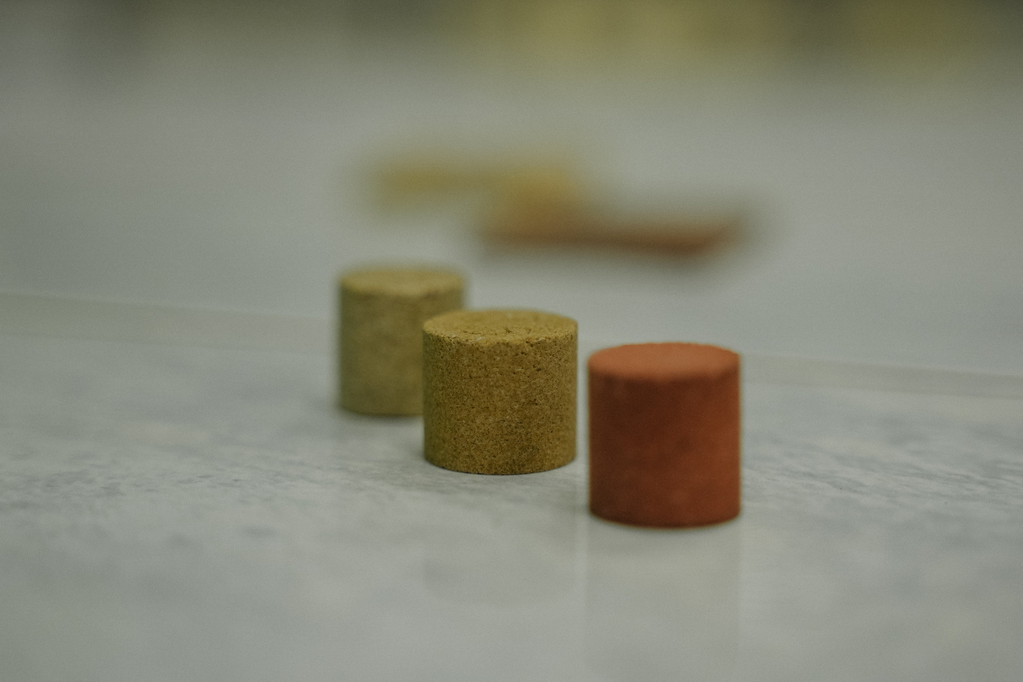 фотография: А. Яковлева