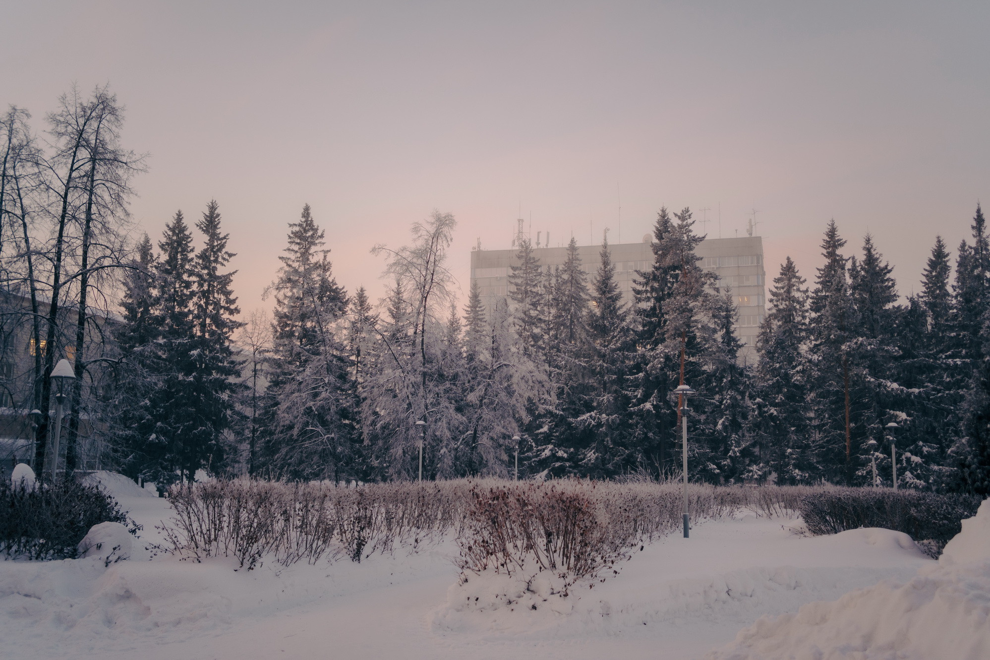 фотография: В. Гуськов