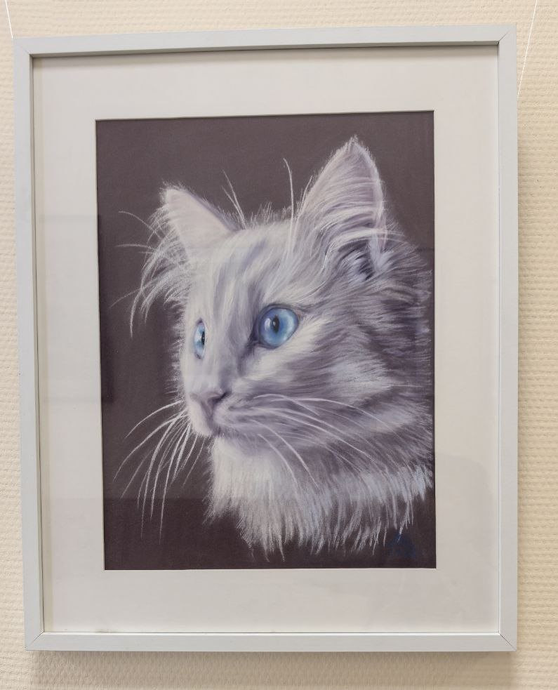 фотография: А. Шрайберова