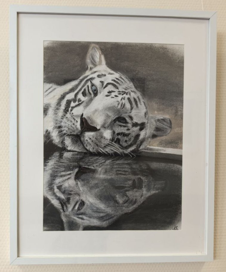 фотография: А. Шрайберова