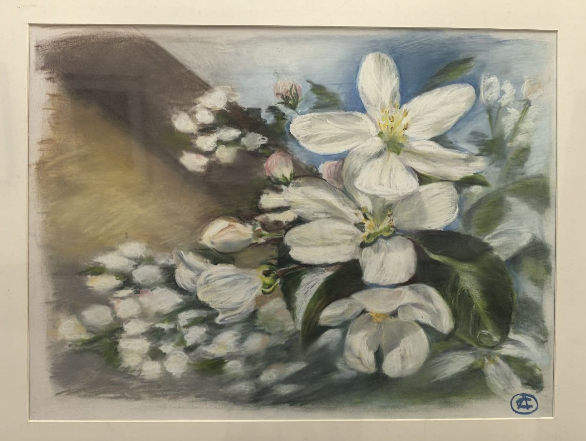 фотография: А. Шрайберова