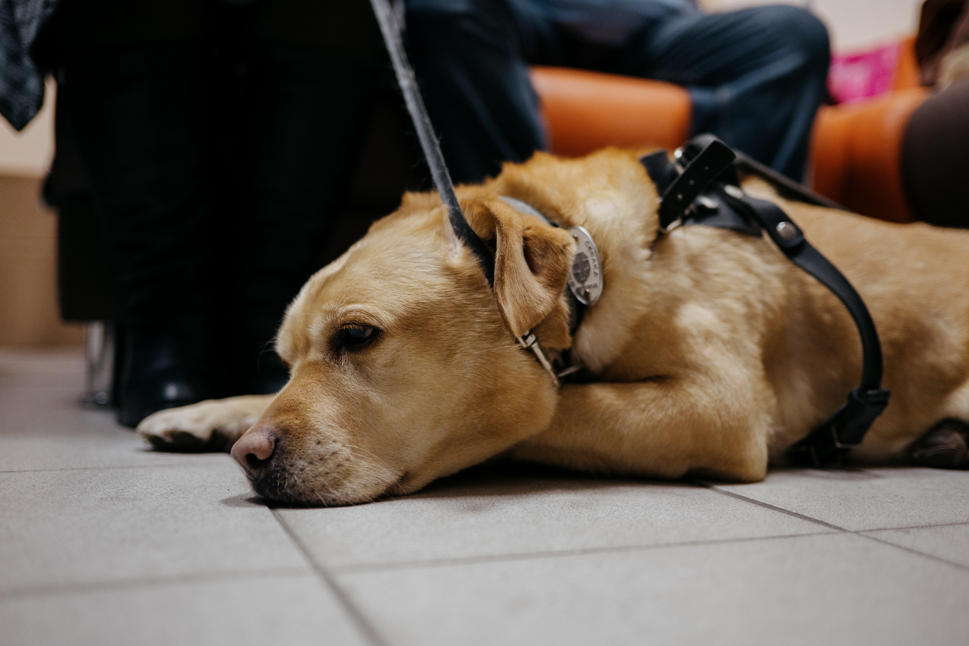 фотография: В. Гуськов