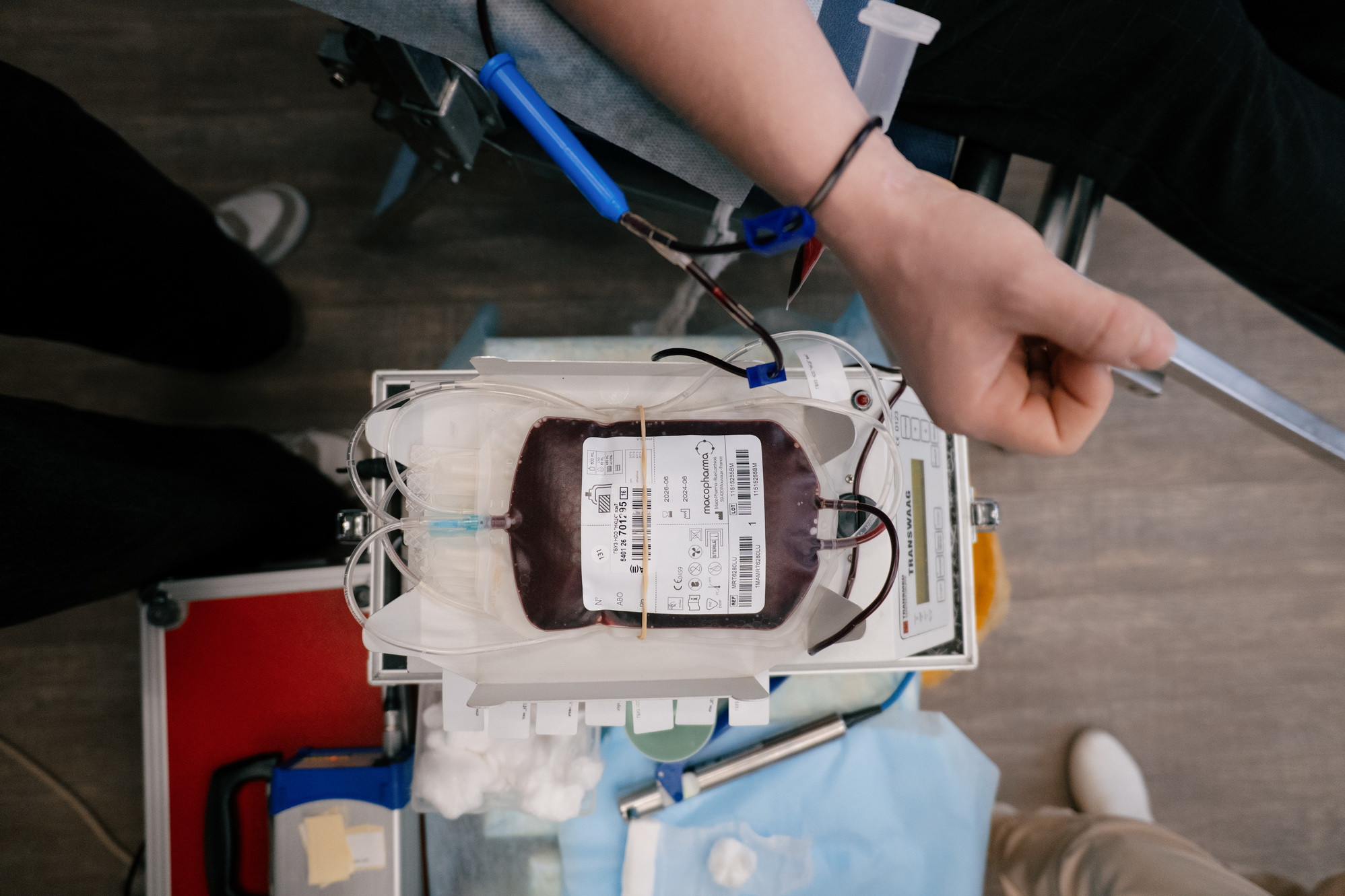 фотография: В. Гуськов