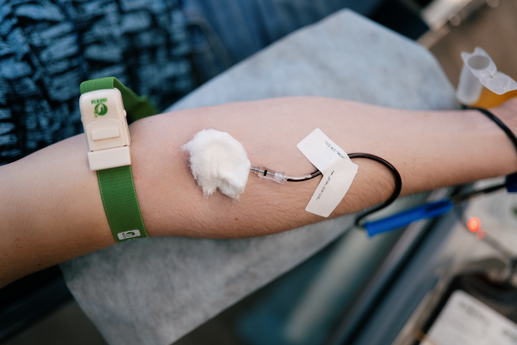 фотография: В. Гуськов