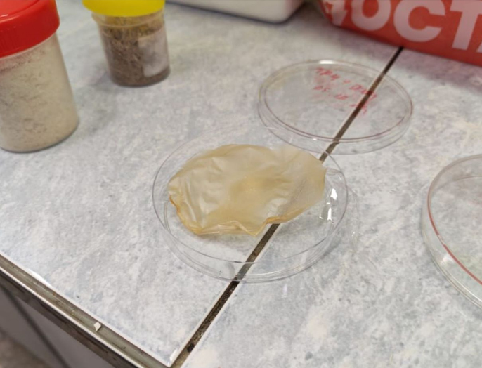 Ученые НГТУ НЭТИ создают экологически чистые электроизоляционные материалы для суперконденсаторов
