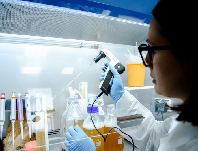 Биополимерную систему для доставки синбиотиков в кишечник животных разработали в НГТУ НЭТИ