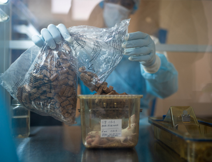 Виварий для внутренних и внешних научных проектов открылся в НГТУ НЭТИ