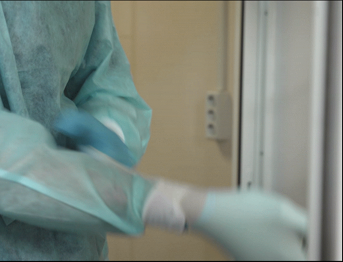 В НГТУ НЭТИ появился виварий для содержания безмикробных мышей и мышей без специфических патогенов