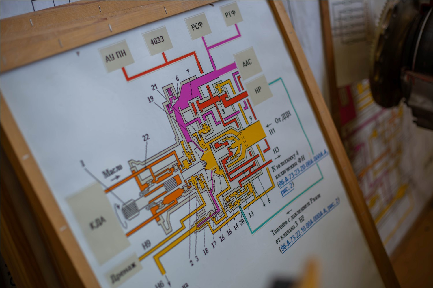 фотография: А. Непомнящих