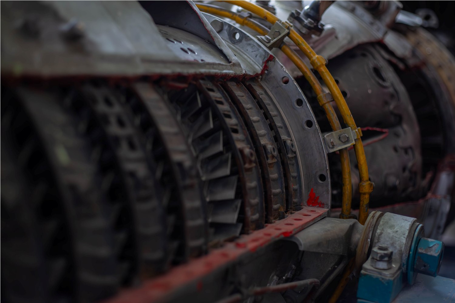 фотография: А. Непомнящих