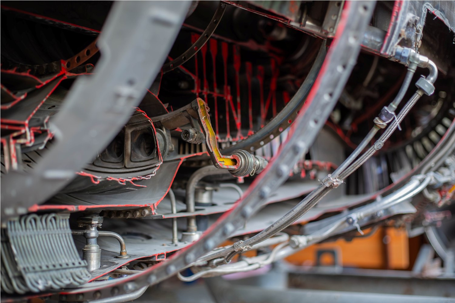 фотография: А. Непомнящих