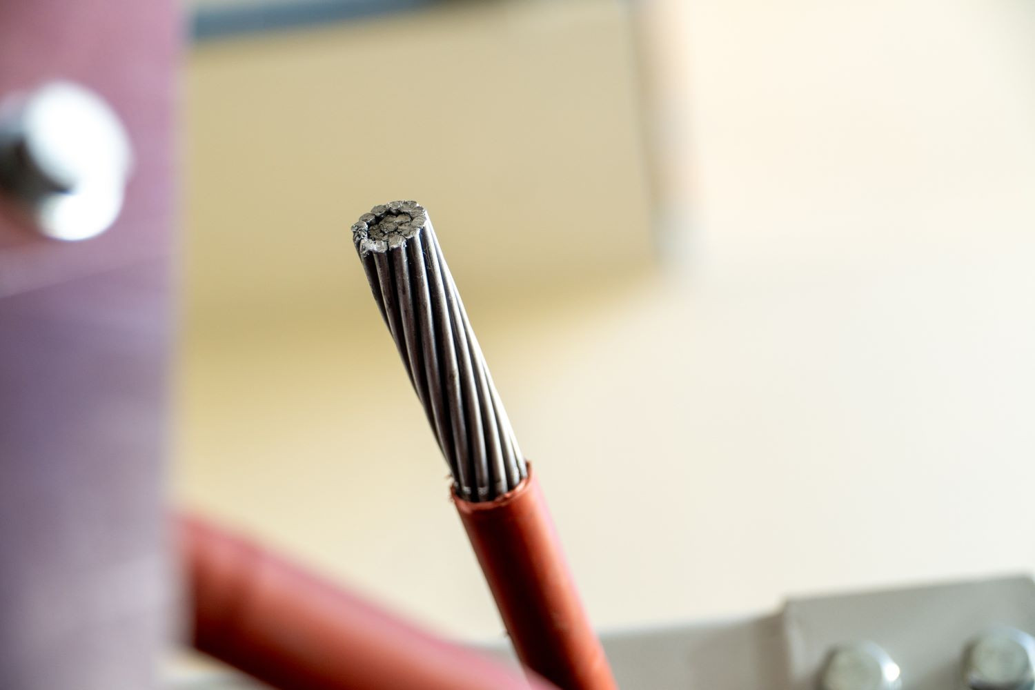 фотография: Александр Непомнящих