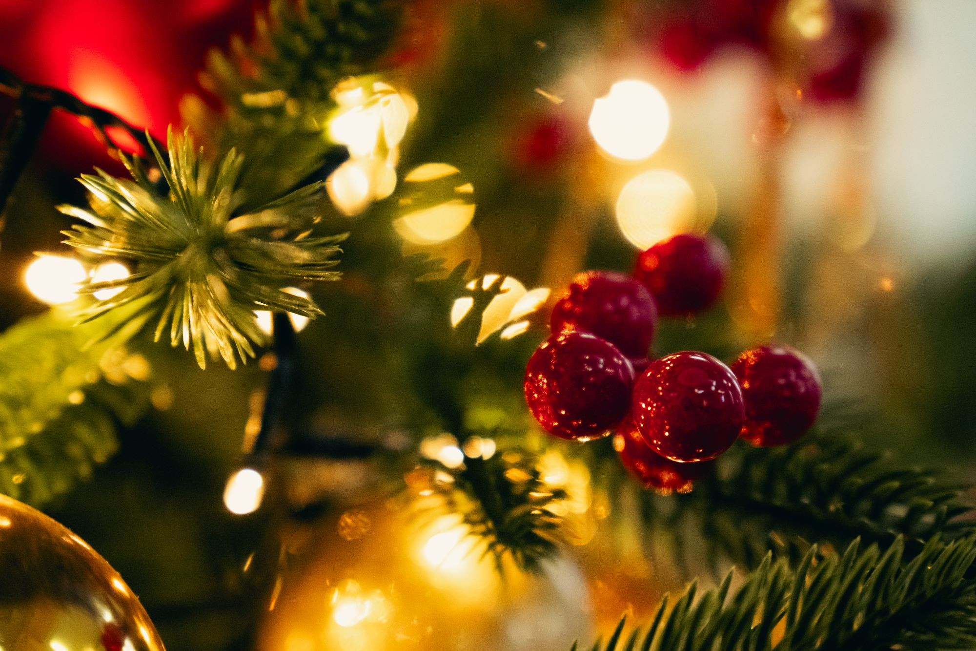 фотография: В. Гуськов