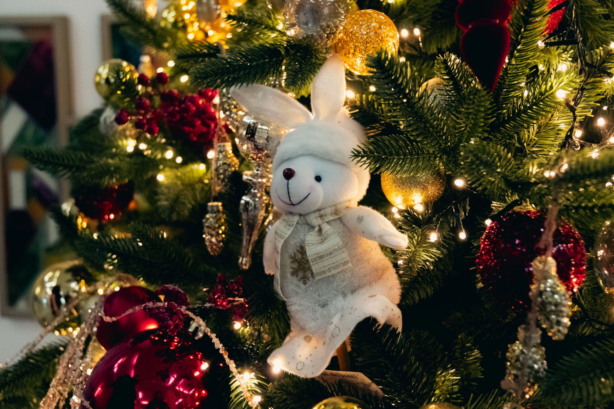 фотография: В. Гуськов