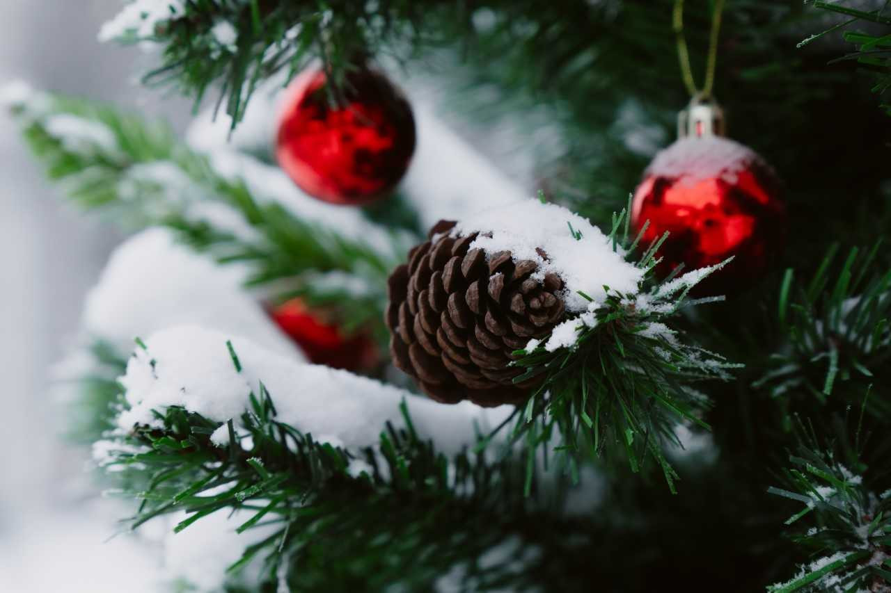 фотография: В. Гуськов