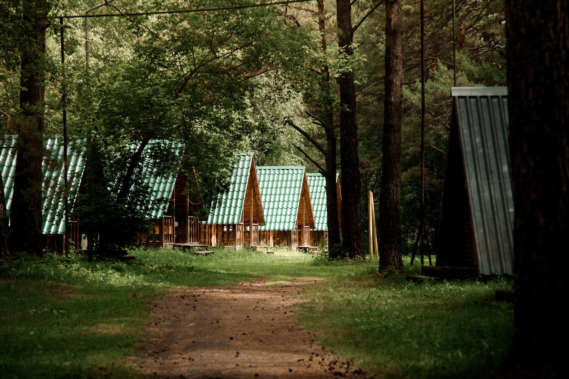 фотография: В. Жарковская