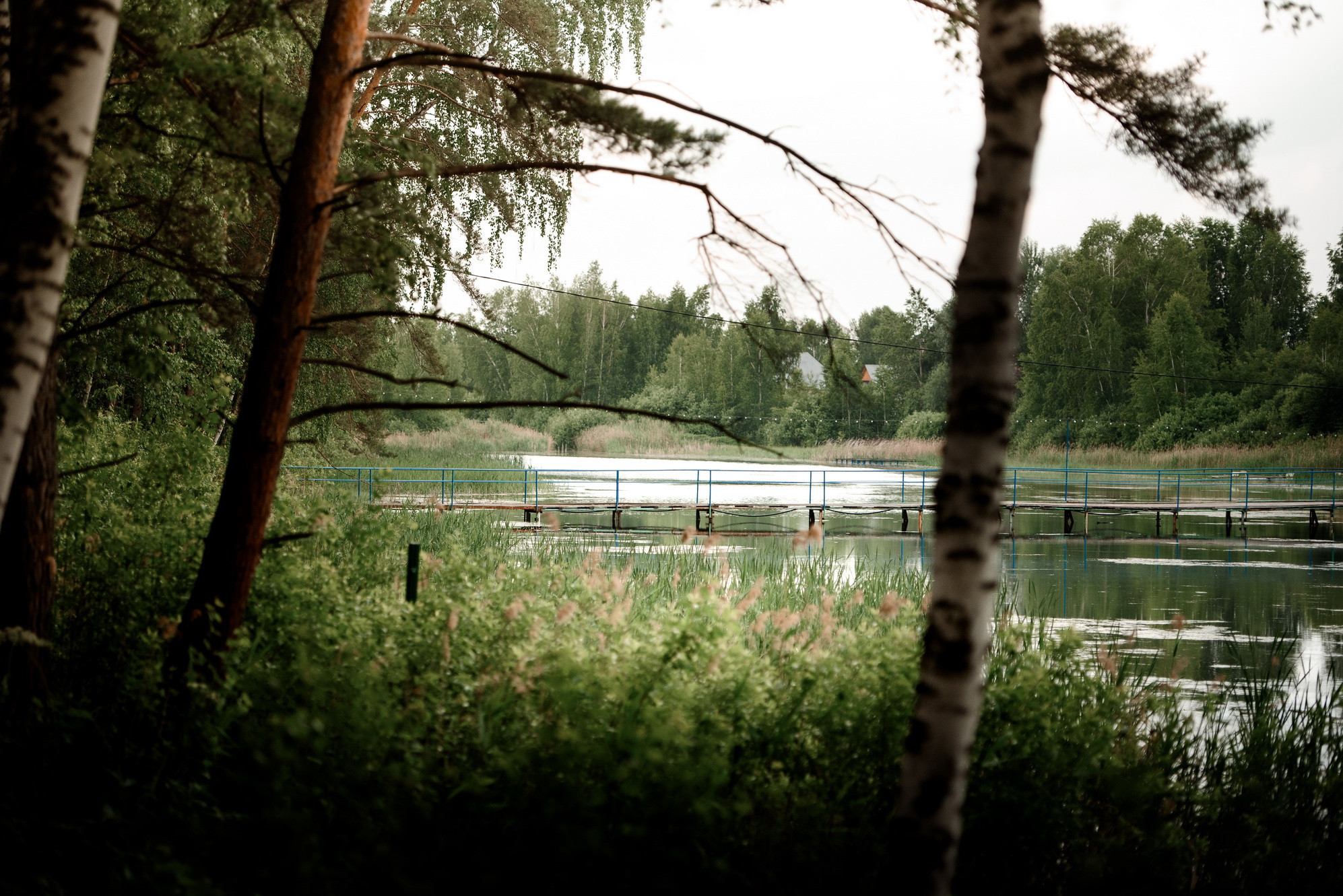 фотография: В. Жарковская